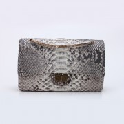 Chanel 2.55 Reissue Flap Bag 227 in Gray Python with aged bronze hardware A37590
